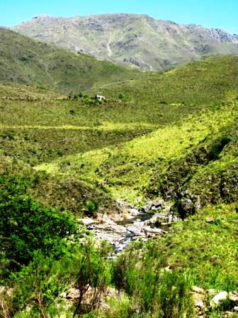 Ruta Villorco · Coronel Pringles — foto 24