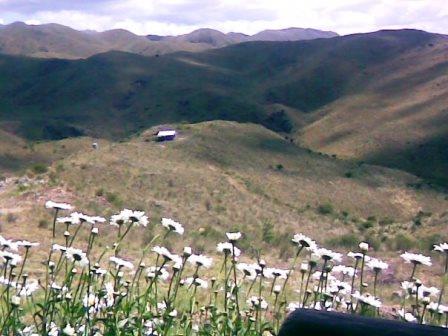 Ruta Villorco · Coronel Pringles — foto 26