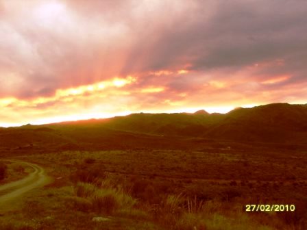 Ruta Villorco · Coronel Pringles — foto 27