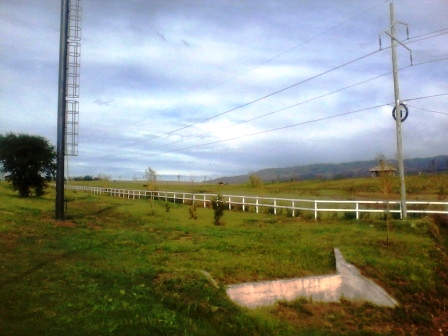 Ruta Villorco · Coronel Pringles — foto 5