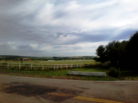 Ruta Villorco · Coronel Pringles — foto 6
