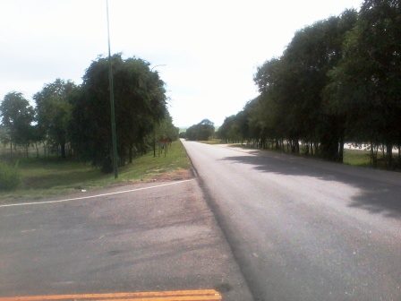 Ruta Villorco · Coronel Pringles — foto 8