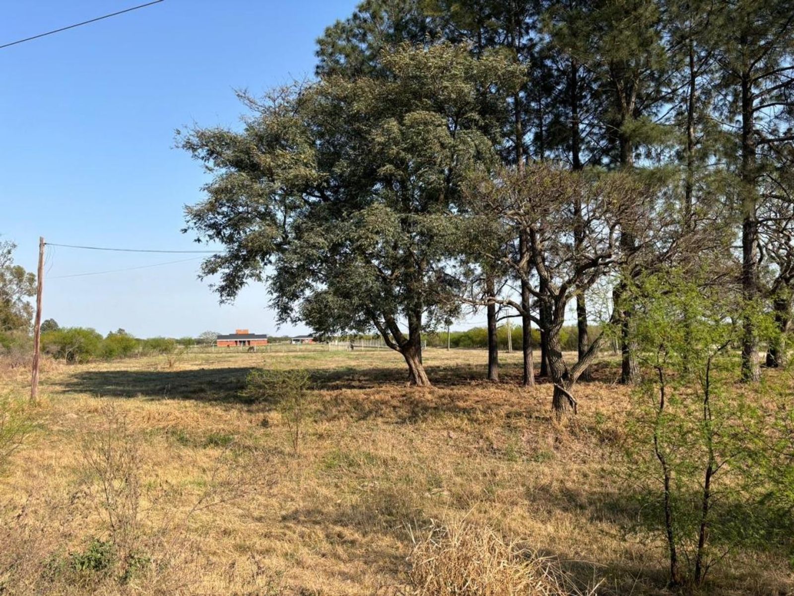 Ruta Prov. N° 1 8,5 · La Capital — foto 13