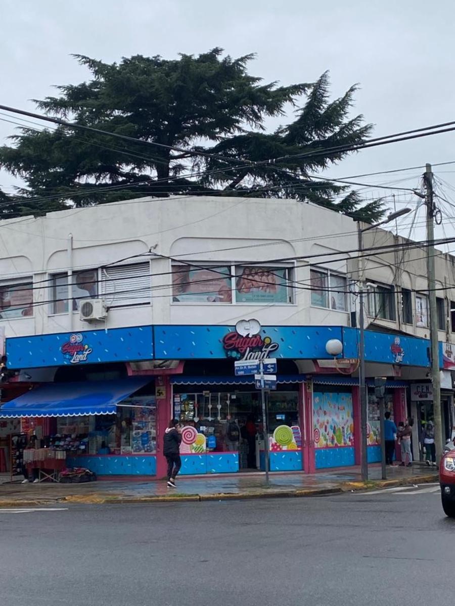 Paunero 1596 · San Miguel — foto 15
