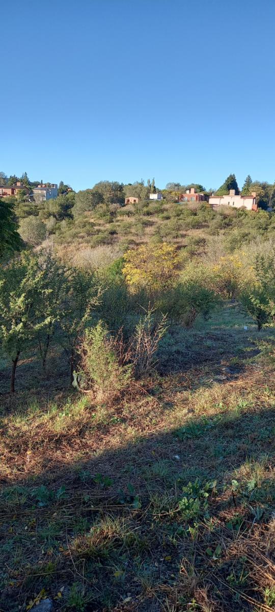 Tte. NIVOLI · Punilla — foto 3
