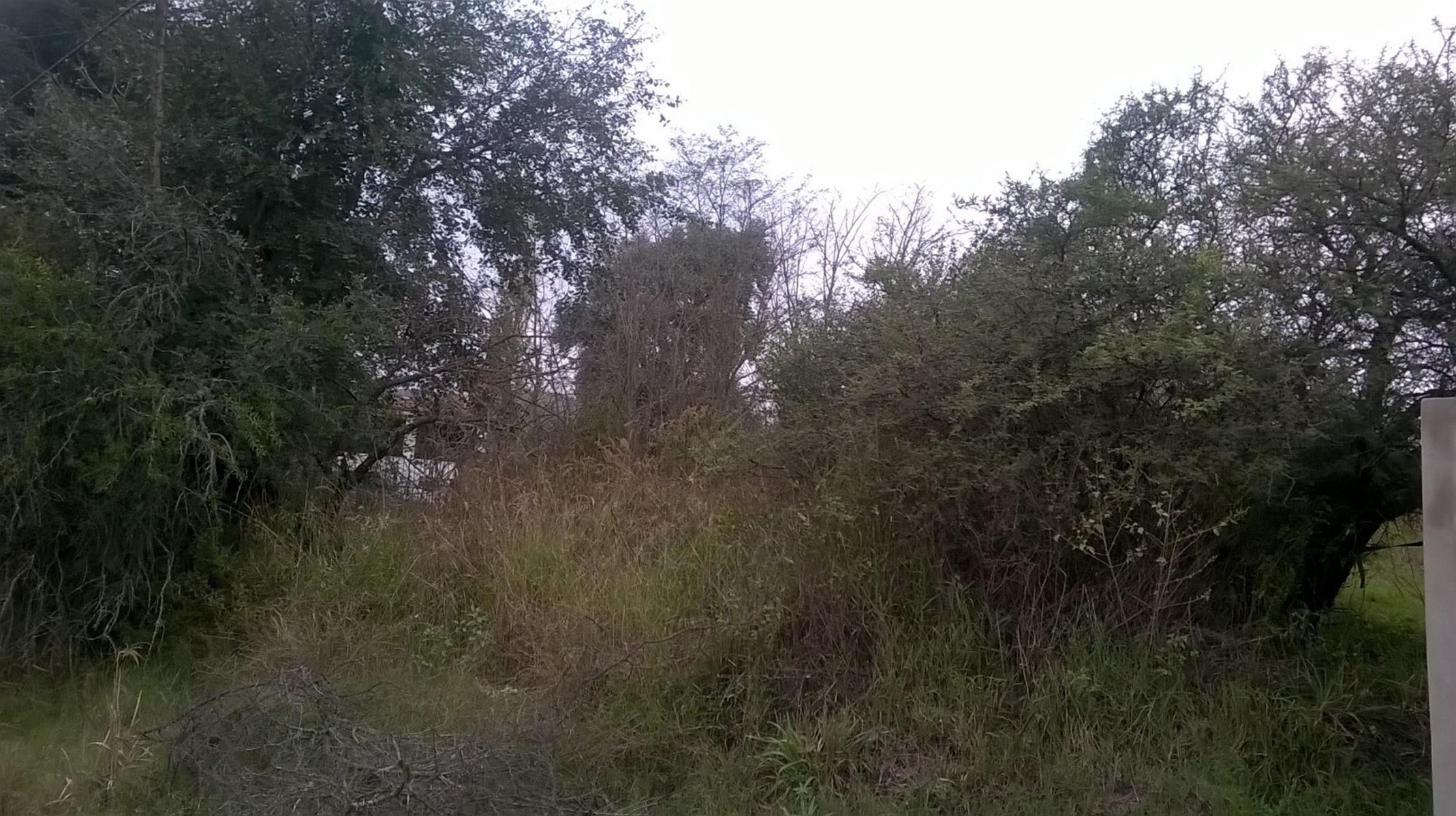 Los Espinillos · Punilla — foto 3
