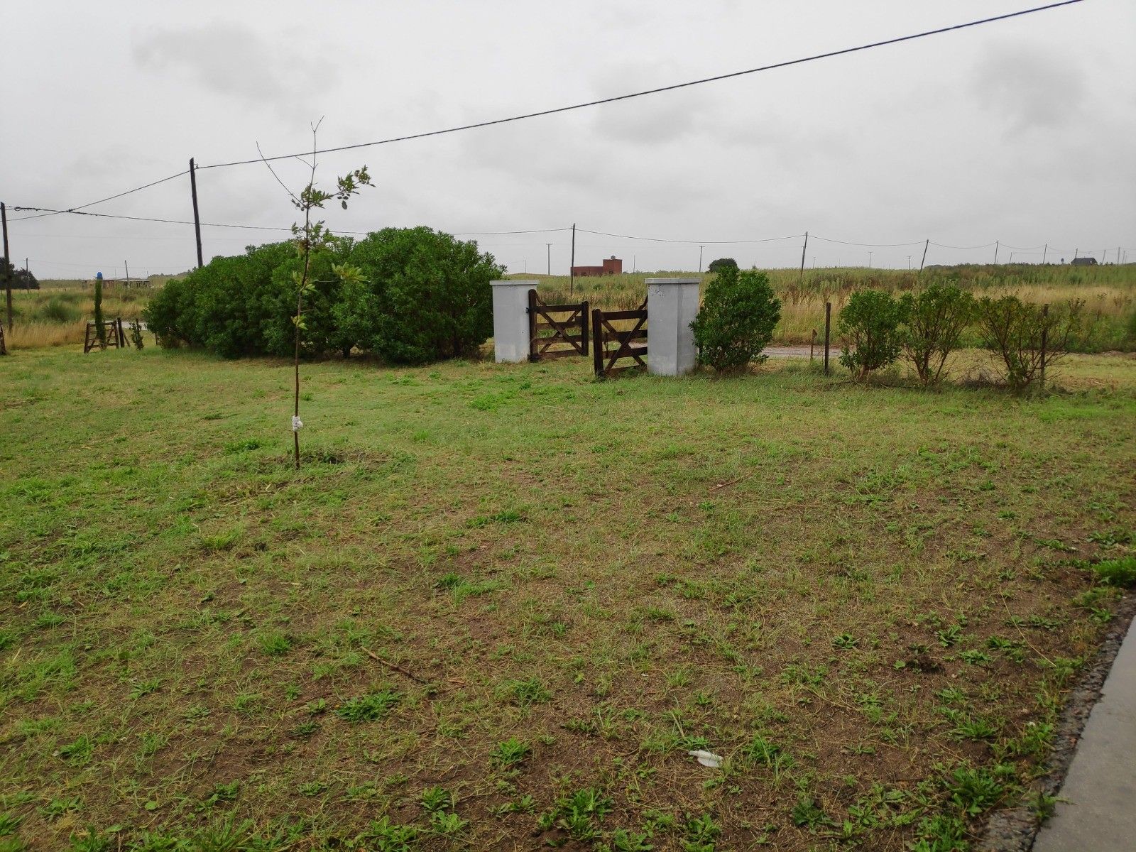 CALLE 55 · Tres Arroyos — foto 4