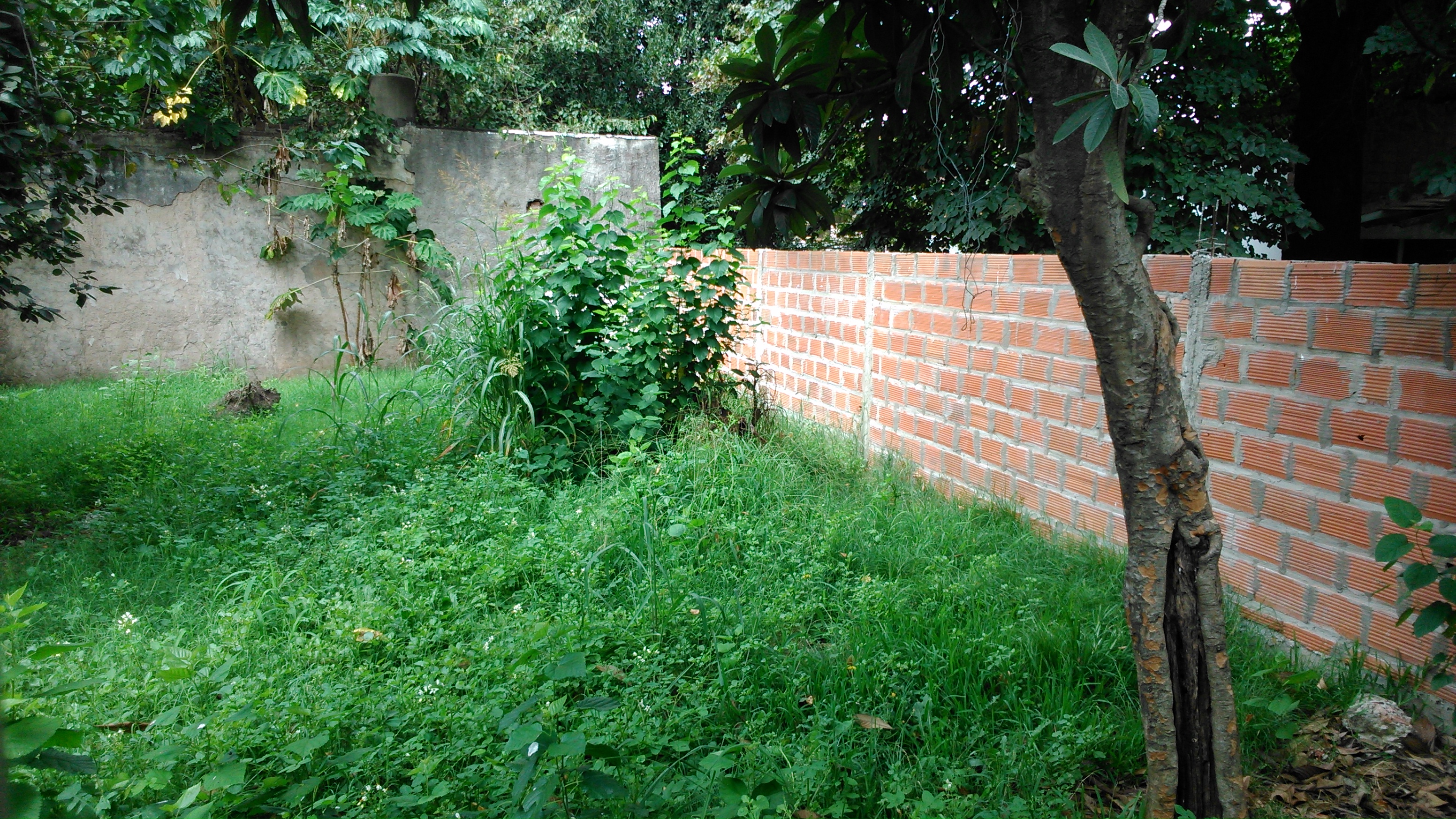 P · Moreno — foto 5