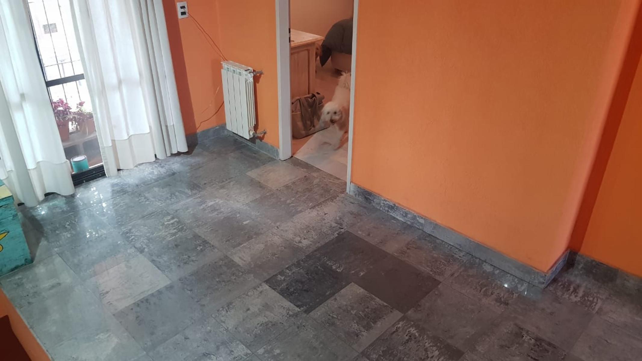 LACROZE 6500 · San Martín — foto 14