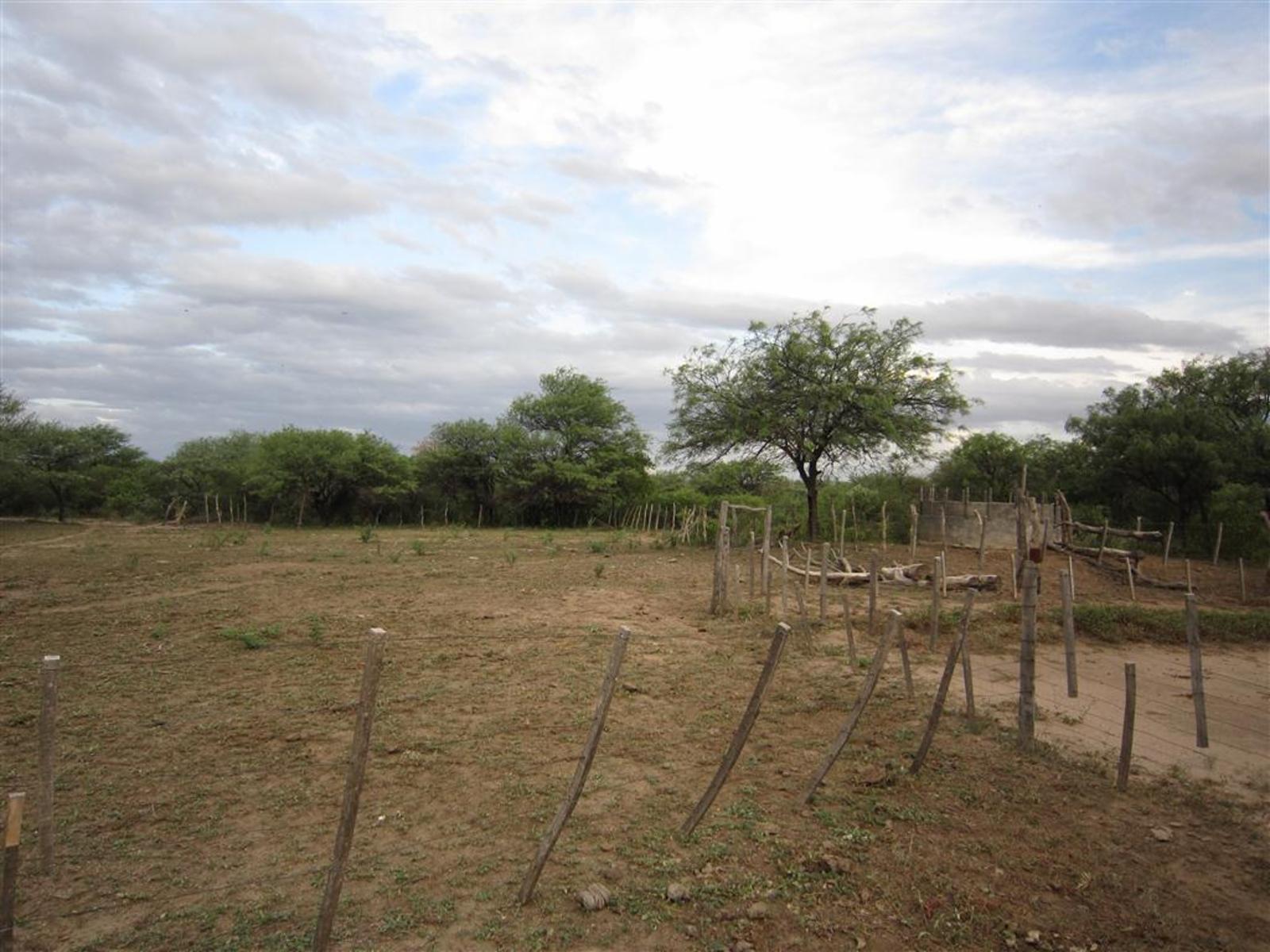 a kms. ruta 38 · Pocho — foto 4
