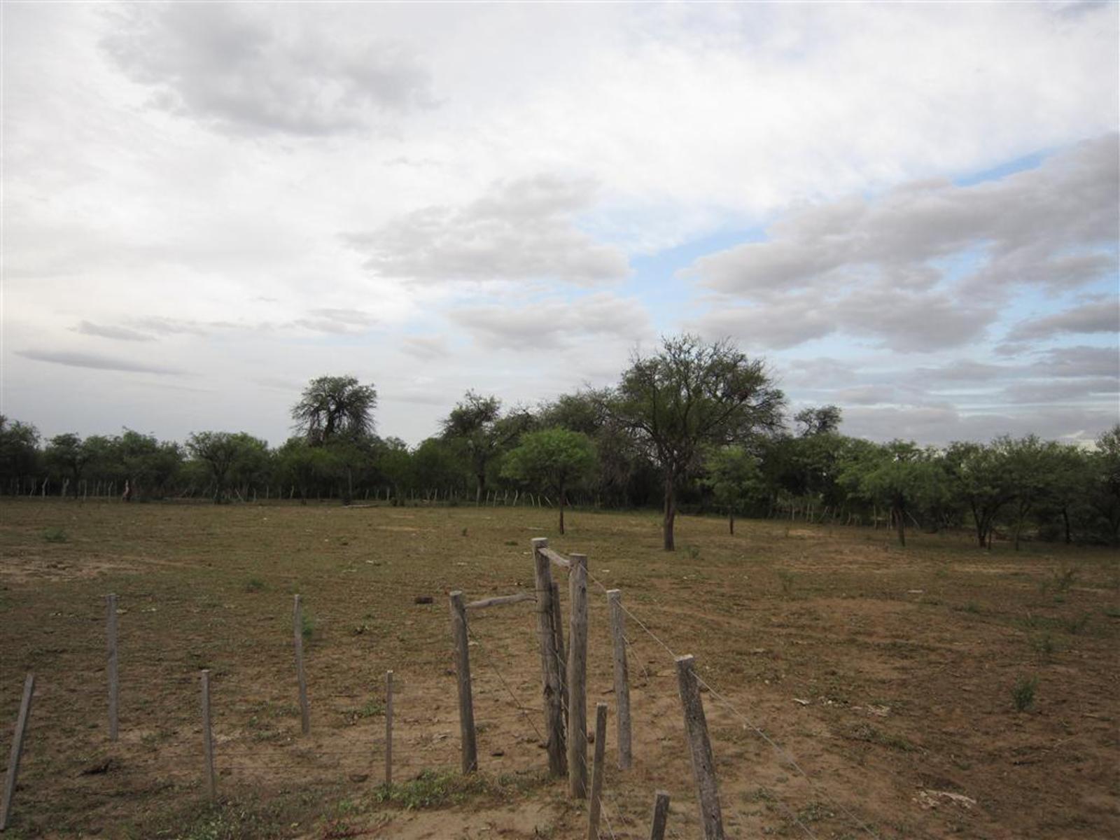 a kms. ruta 38 · Pocho — foto 5