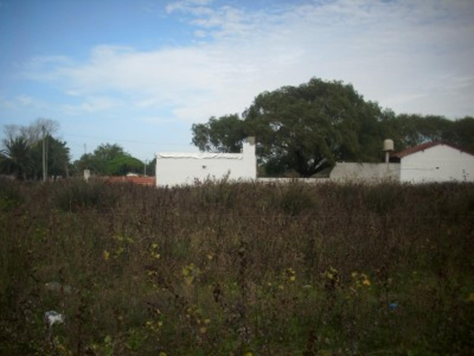 Calle 81 · La Costa — foto 3
