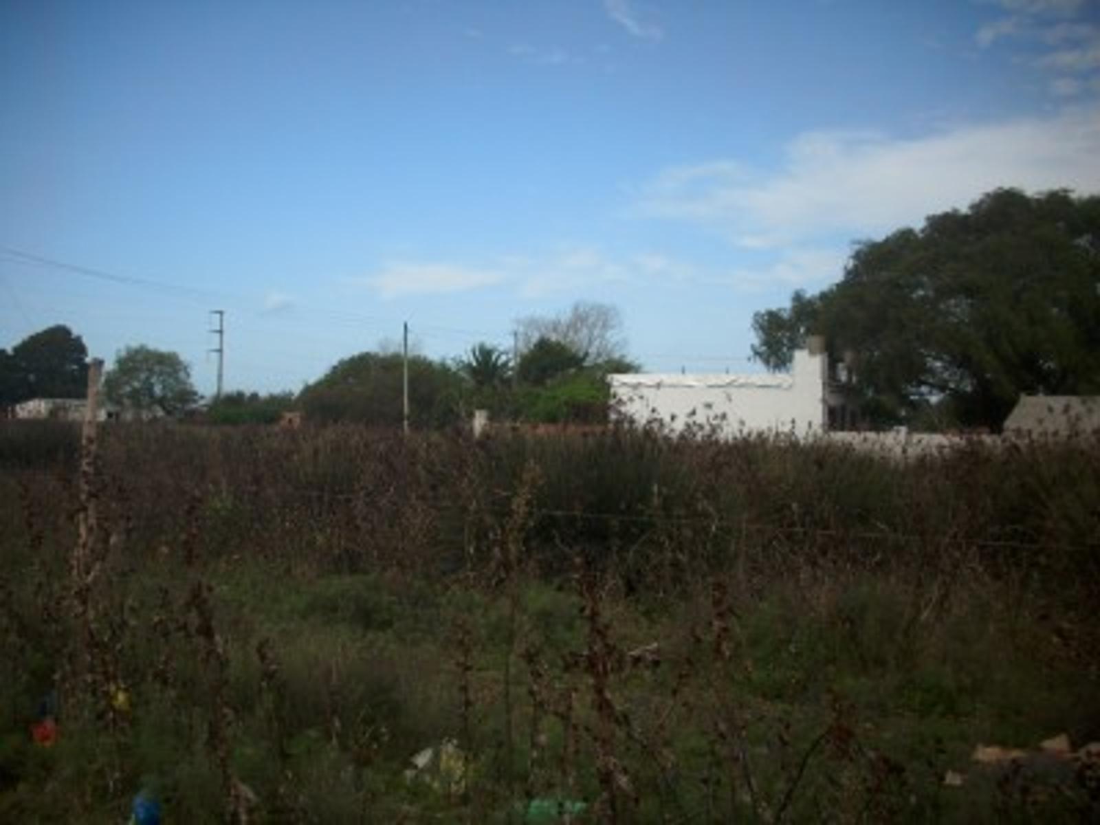 Calle 81 · La Costa — foto 4