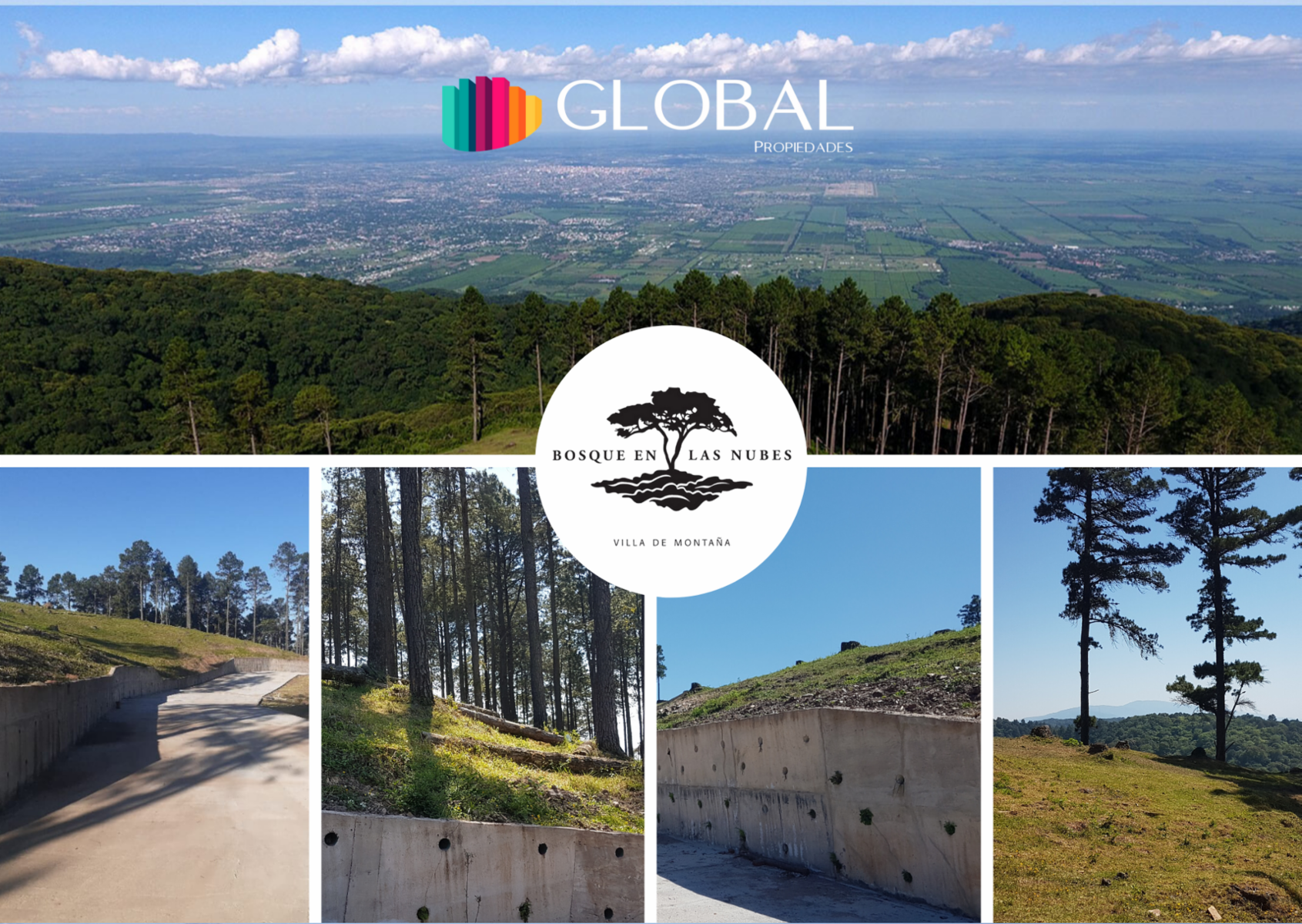 Emplazado en un lugar único, Bosque en las nubes, es un emprendimiento que armoniza la calidad de vida, la naturaleza y el confort.
