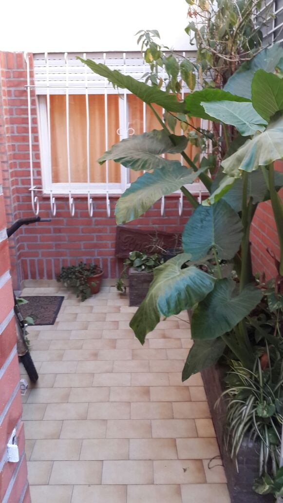 Gral. Manuel Belgrano al 1200 · Morón — foto 3