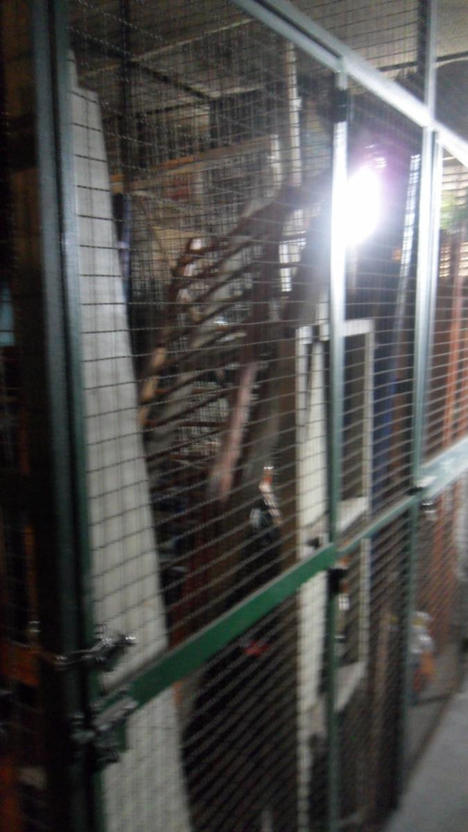 GOBERNADOR IRIGOYEN 100 · Lanús — foto 15