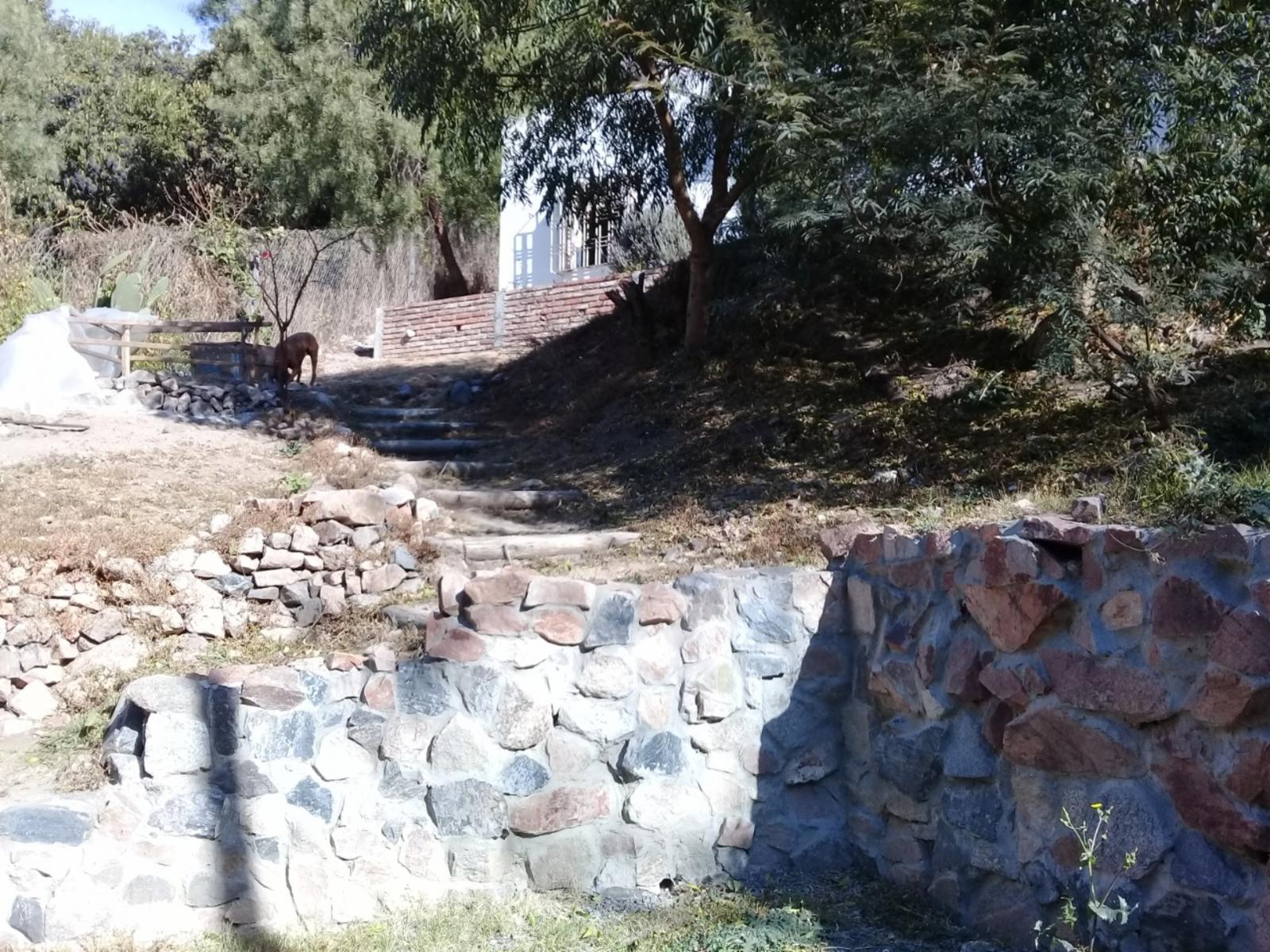RIO CEBALLOS · Colón — foto 14