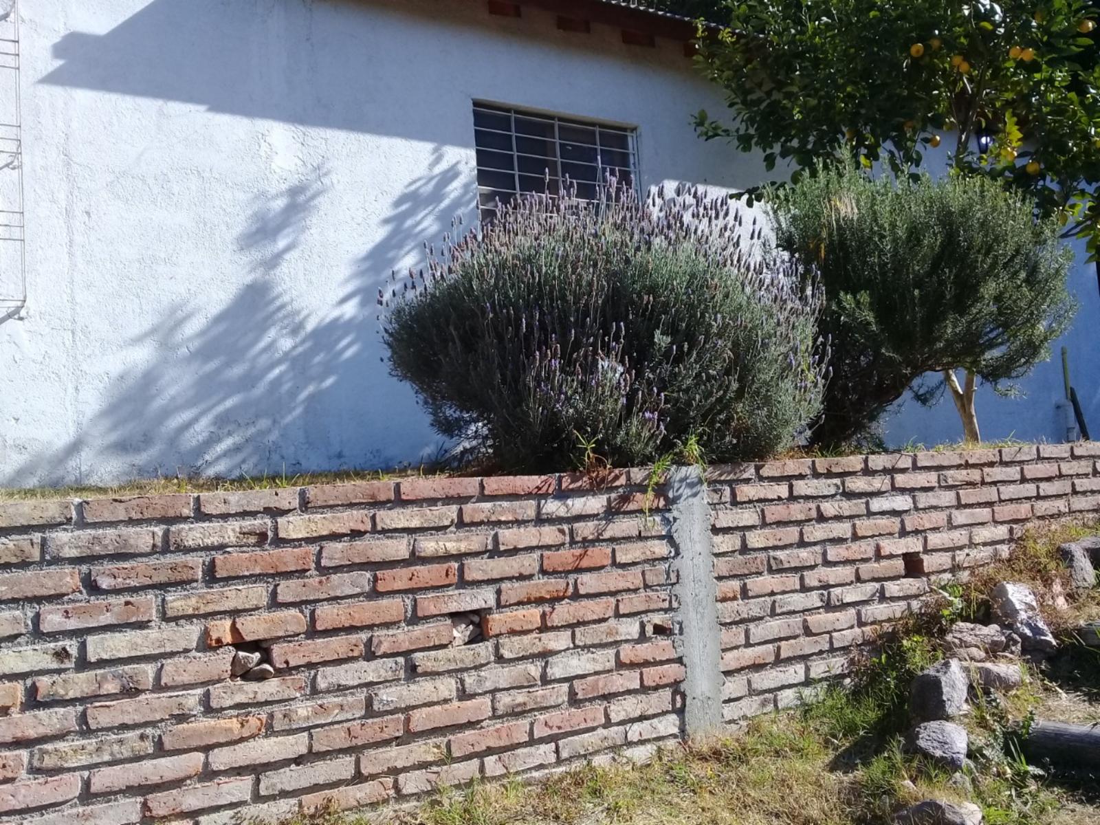 RIO CEBALLOS · Colón — foto 6