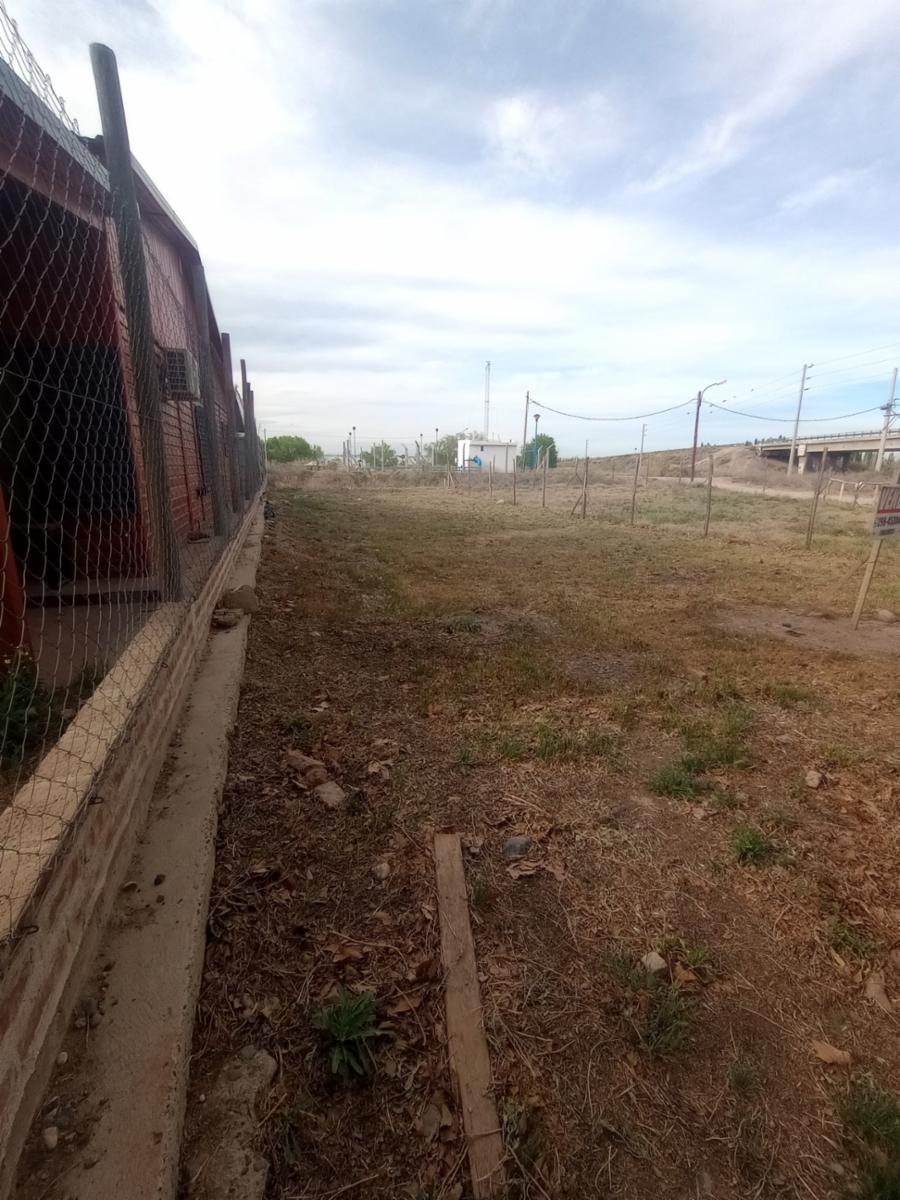 Alfredo Palacio 3372 · General Roca — foto 3