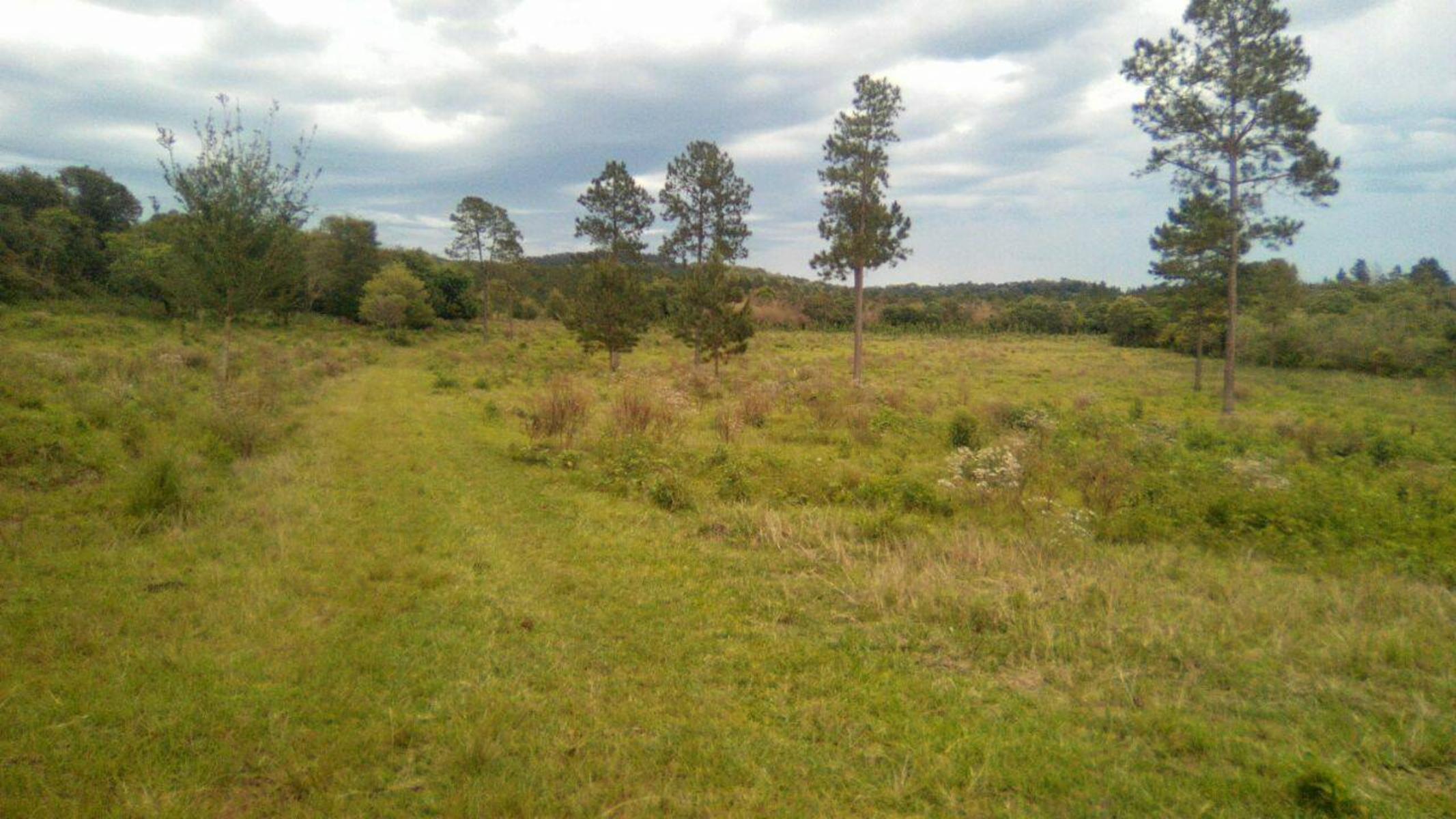 ARROYO DEL MEDIO · Leandro N. Alem — foto 3