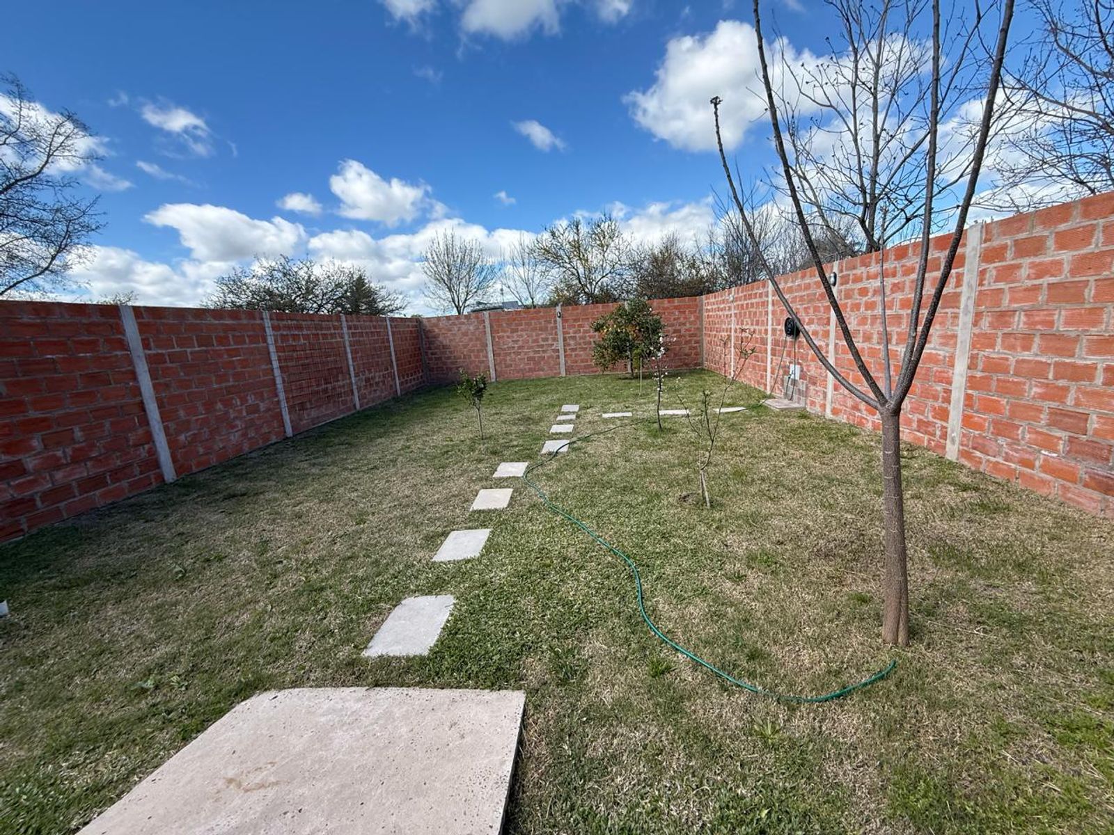 remedios de escalada · Colón — foto 13