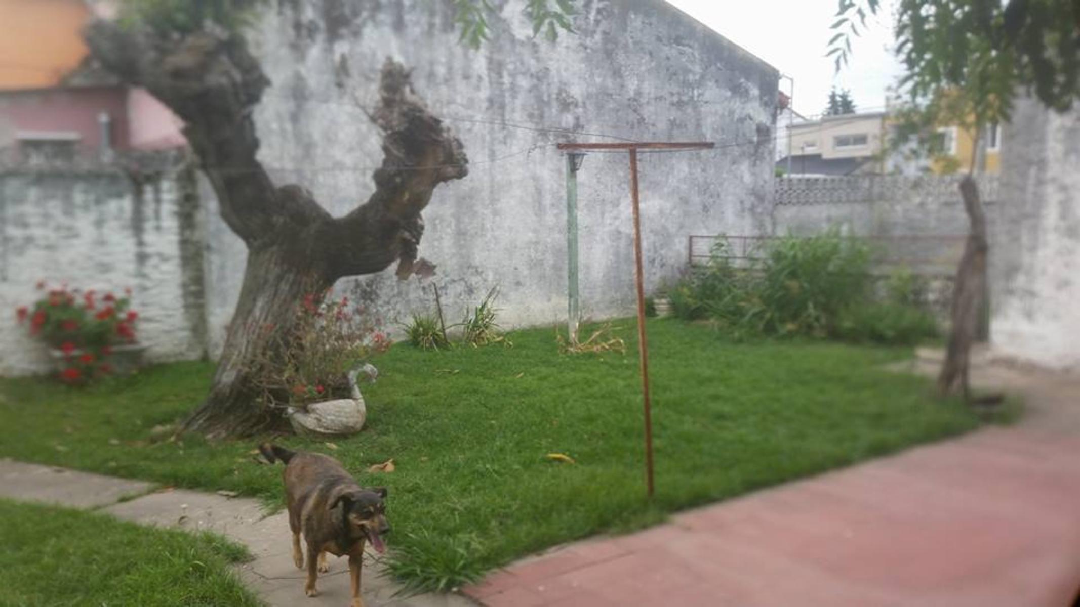 Pedro Goyena 701 · San Miguel — foto 7