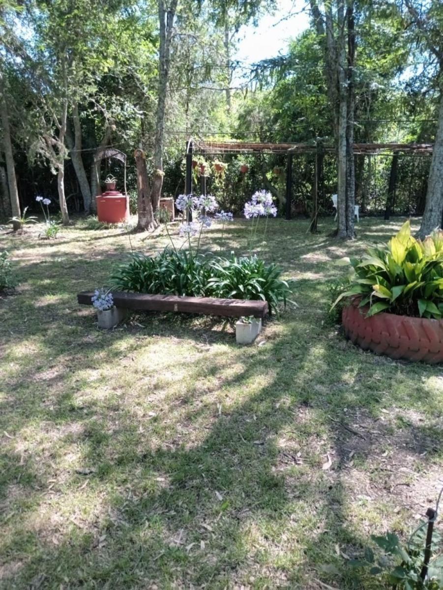 LAS ACACIAS · Brandsen — foto 16