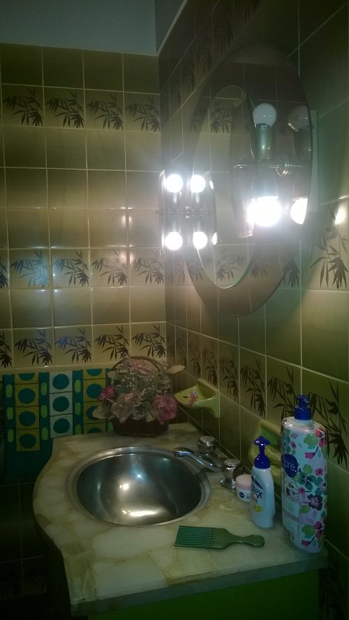 Felix Frias 2800 · Hurlingham — foto 7