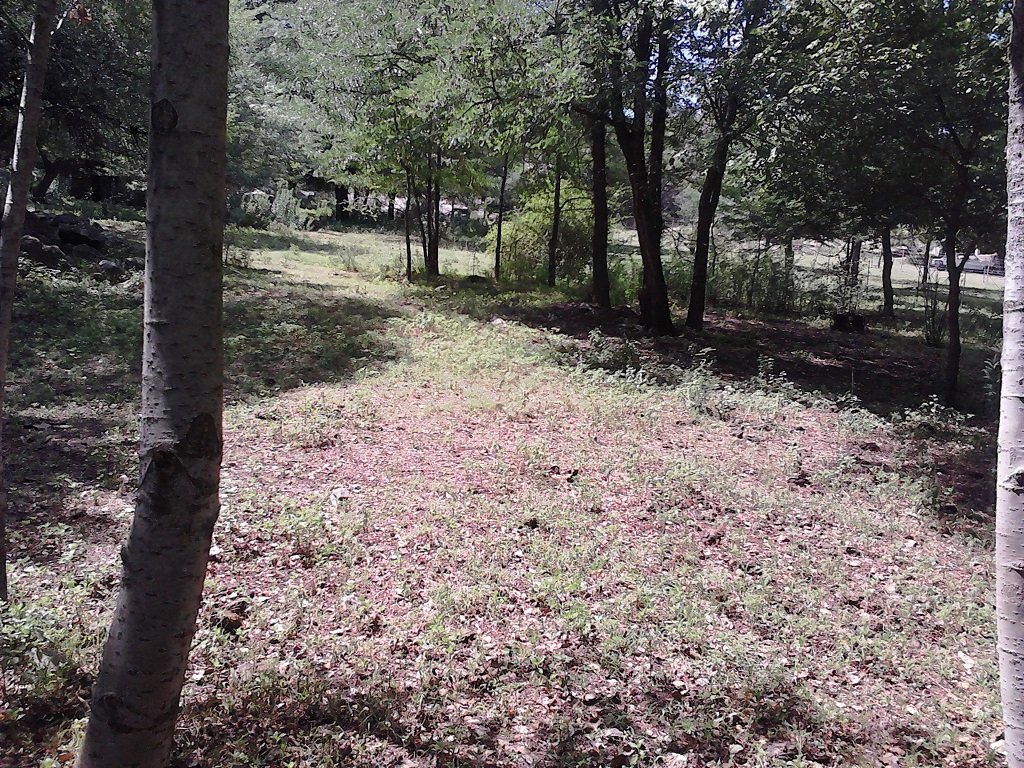 Ruta 9 30500 · Coronel Pringles — foto 12