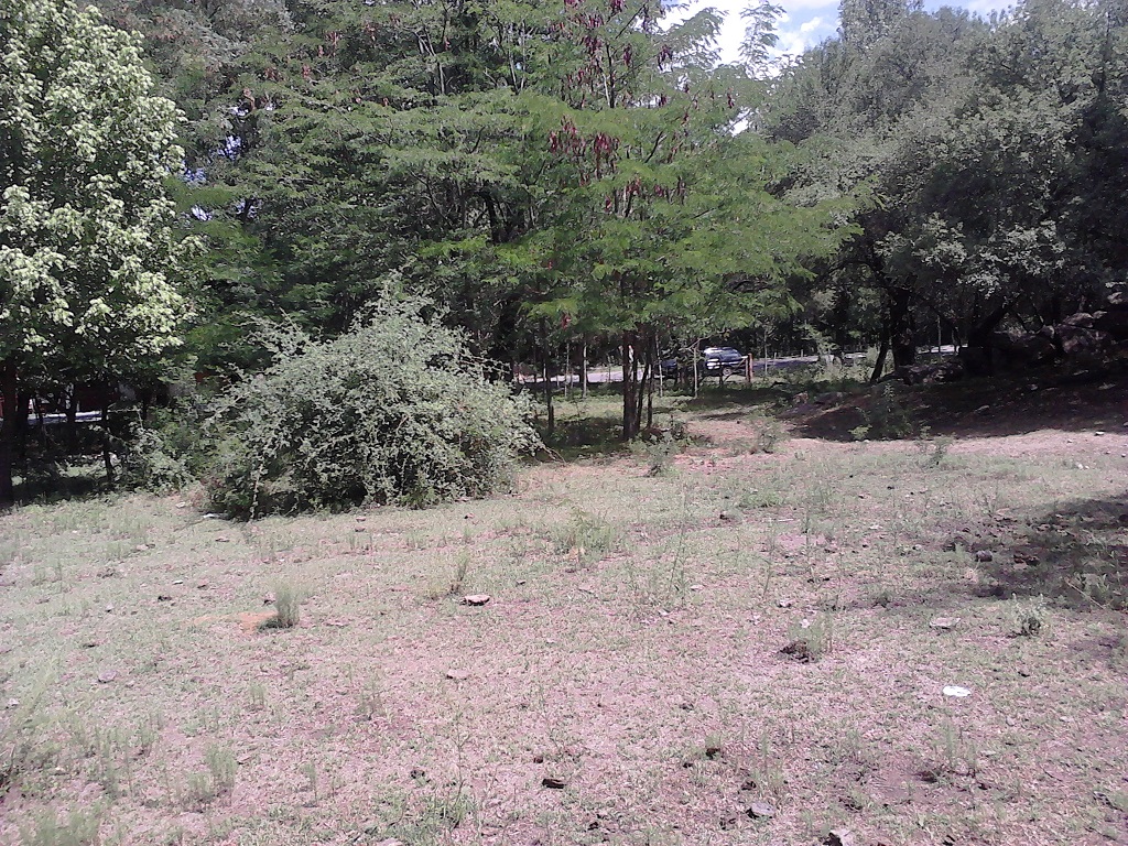 Ruta 9 30500 · Coronel Pringles — foto 3