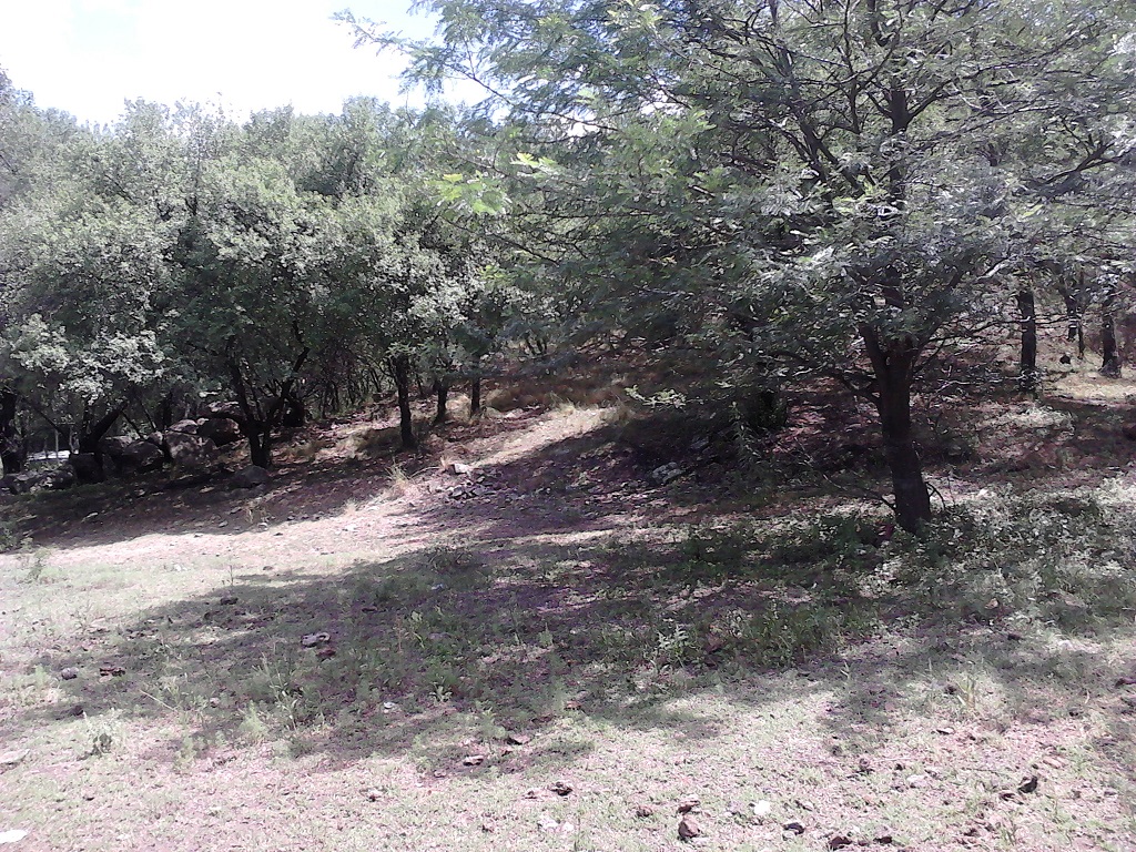Ruta 9 30500 · Coronel Pringles — foto 4
