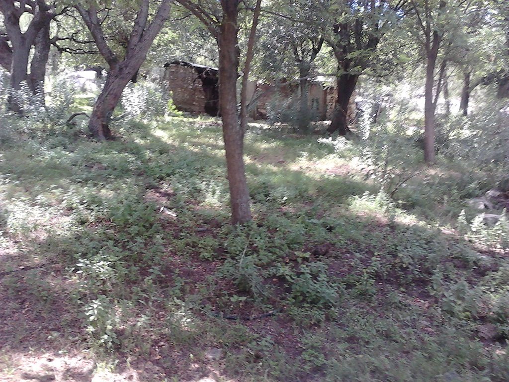 Ruta 9 30500 · Coronel Pringles — foto 6