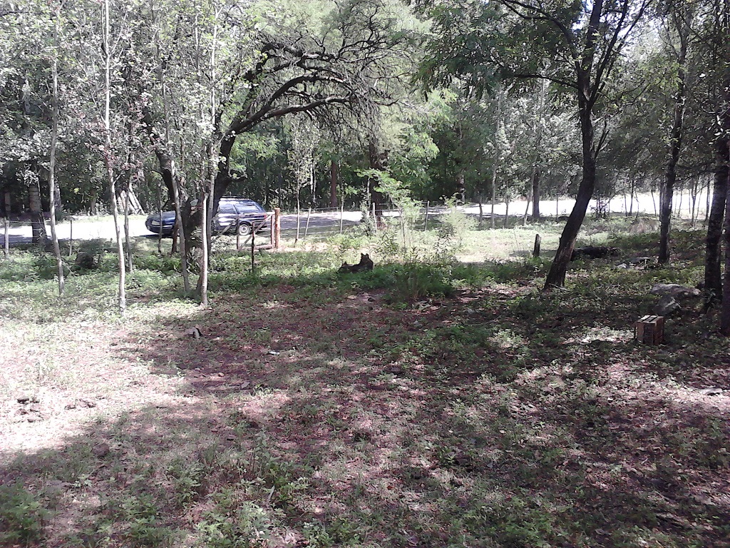 Ruta 9 30500 · Coronel Pringles — foto 10