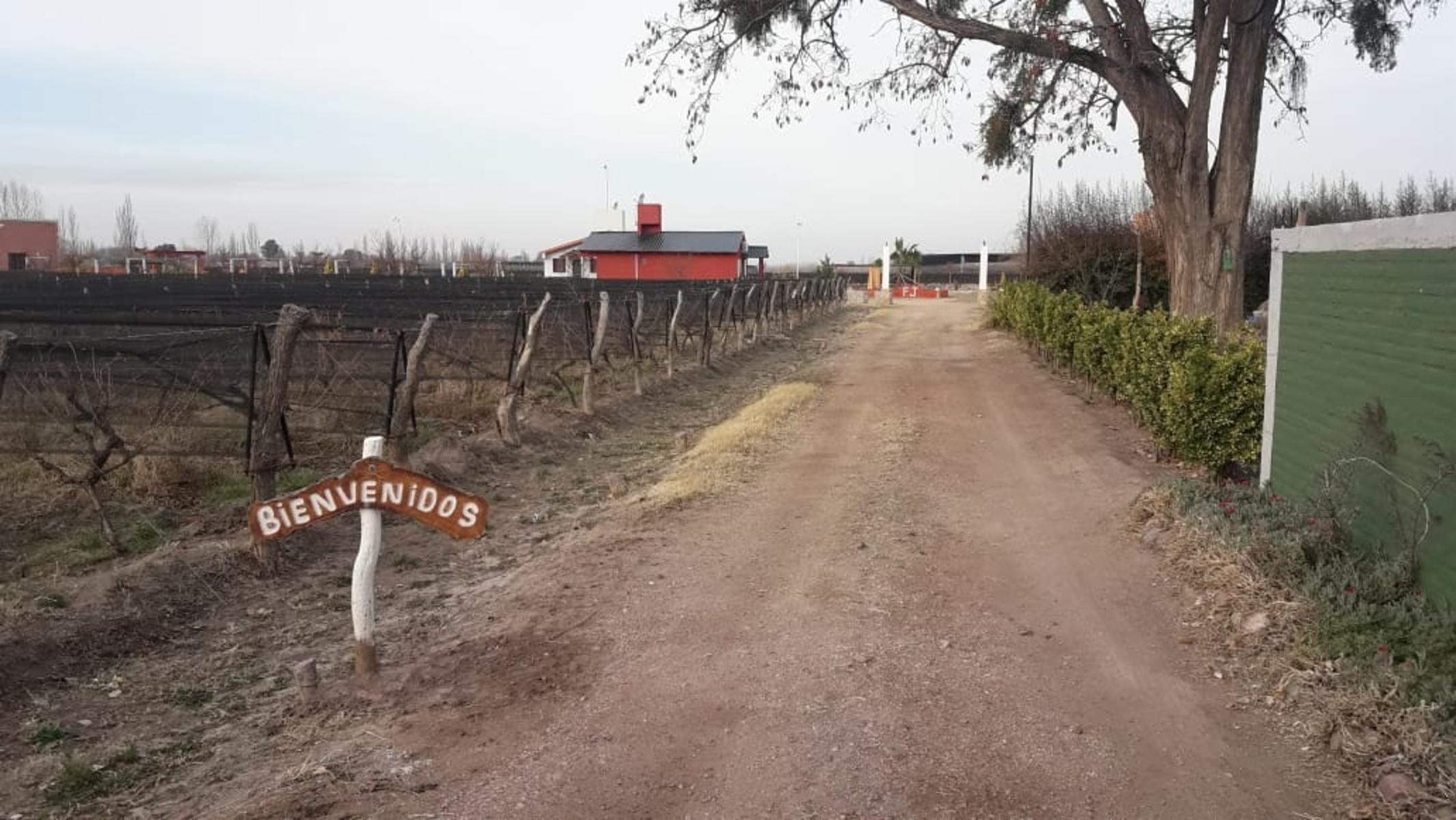 Castro 499 · San Rafael — foto 51