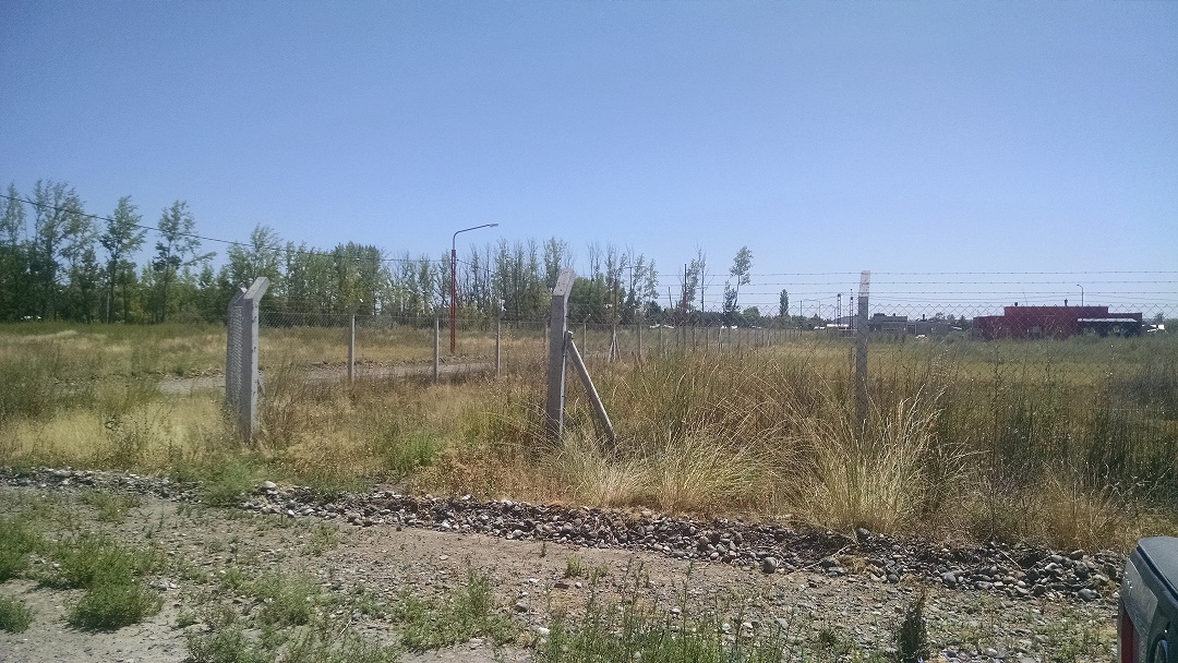 FERNANDEZ ORO LOTEO LOS TRONCOS · General Roca — foto 4