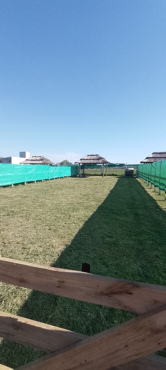 Mar del Plata y Pigüé S/N  Gral. Rodríguez, General Rodríguez, Argentina · General Rodriguez — foto 3