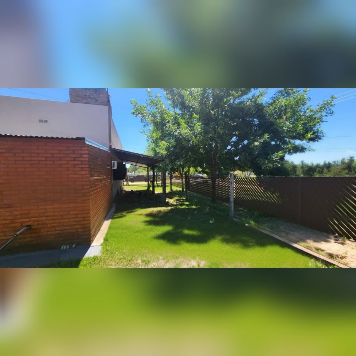 Quebracho Colorado y celestino · La Capital — foto 7