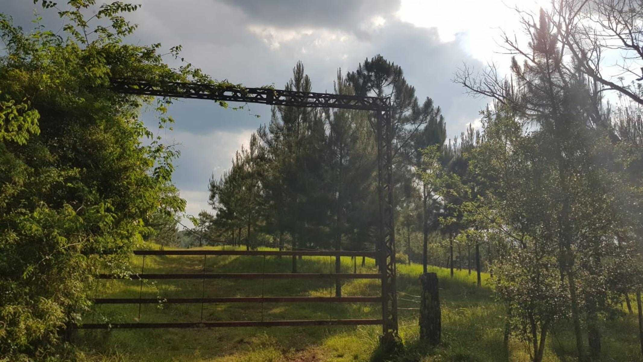 CHACRA ALBERDI · Oberá — foto 6