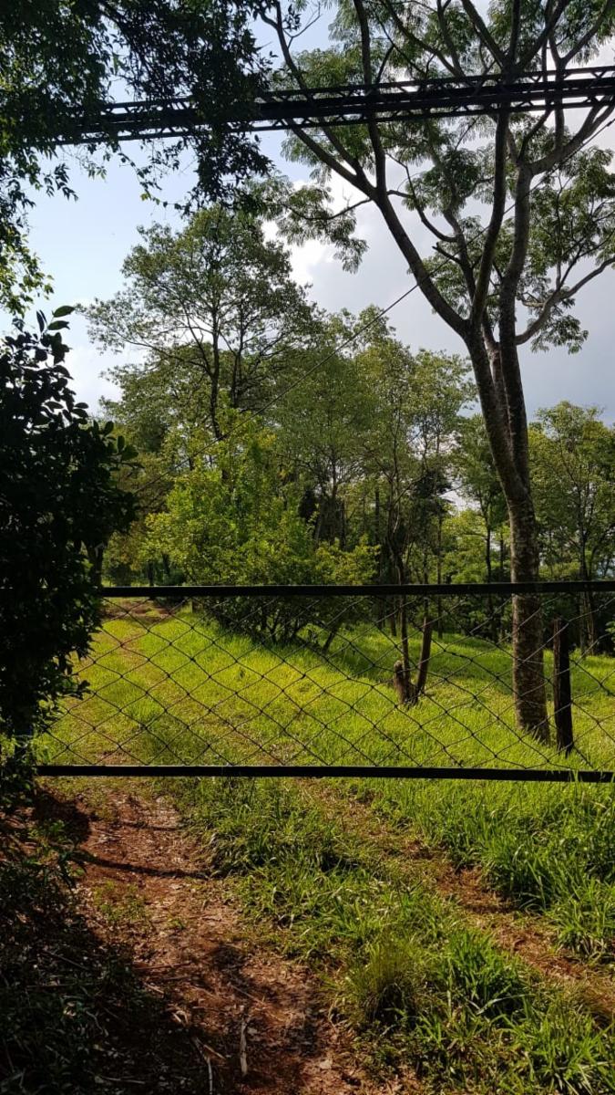 CHACRA ALBERDI · Oberá — foto 8