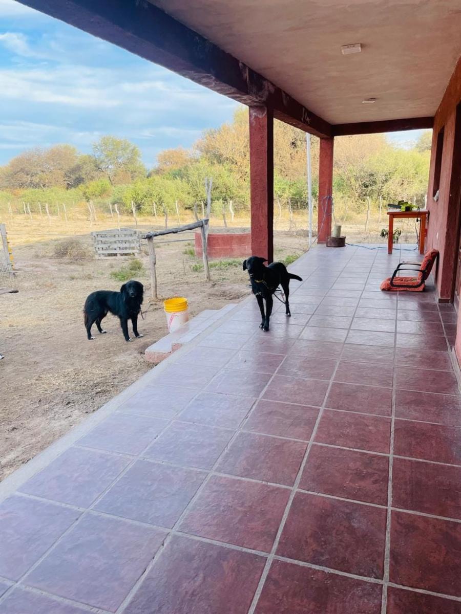 SANTA ROSA DEL CONLARA, SAN LUIS. CON BAJADA AL RIO · Junín — foto 30