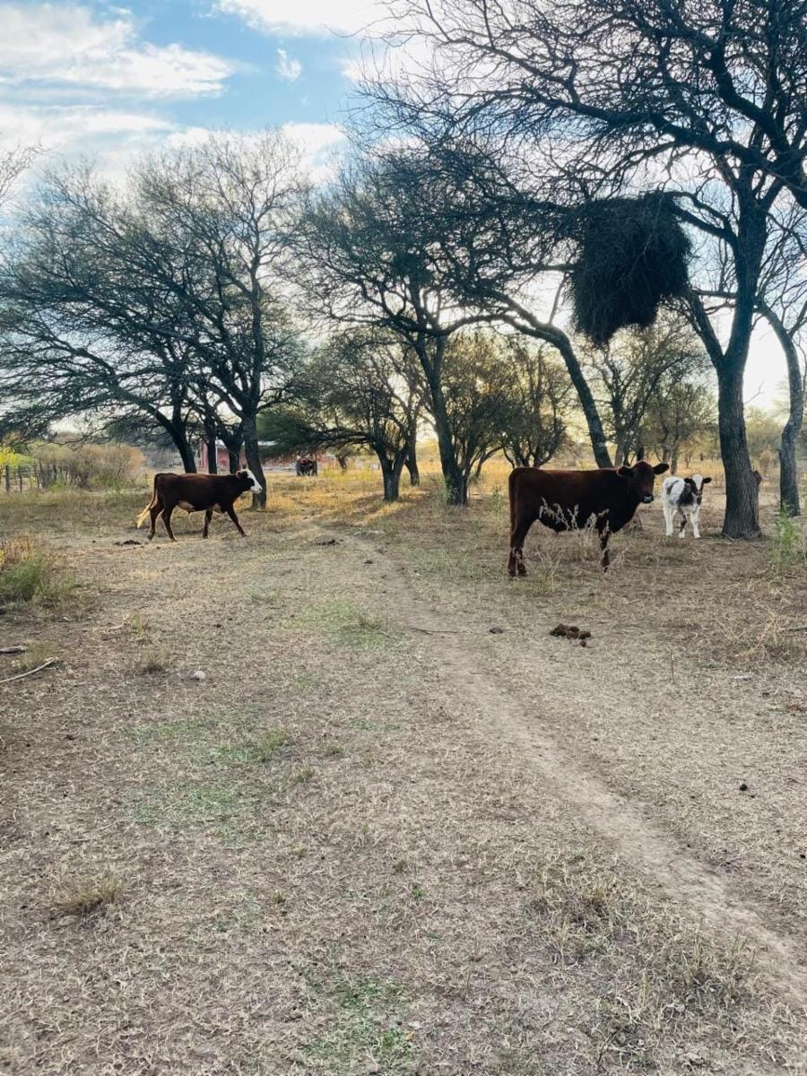 SANTA ROSA DEL CONLARA, SAN LUIS. CON BAJADA AL RIO · Junín — foto 32