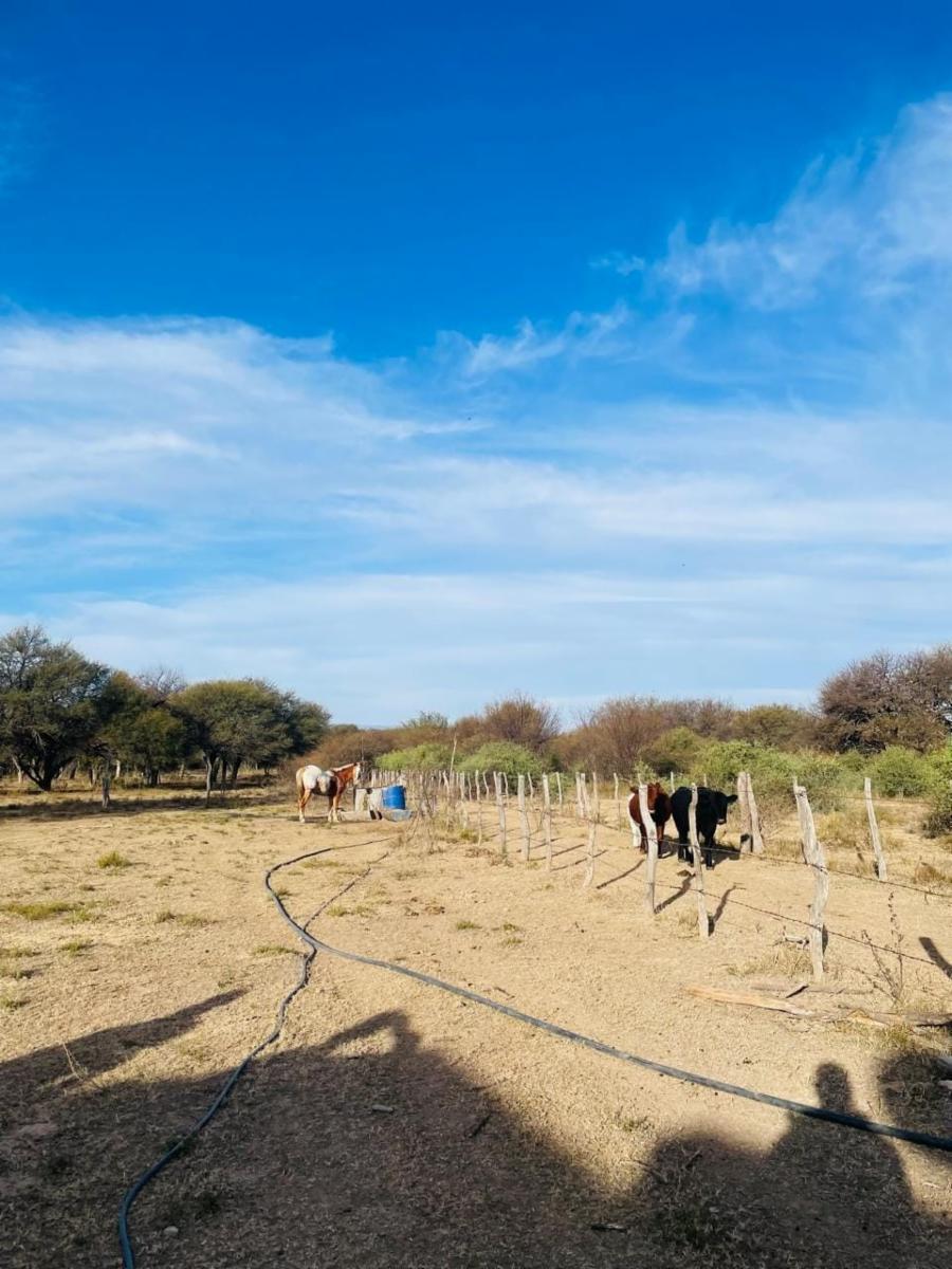 SANTA ROSA DEL CONLARA, SAN LUIS. CON BAJADA AL RIO · Junín — foto 34