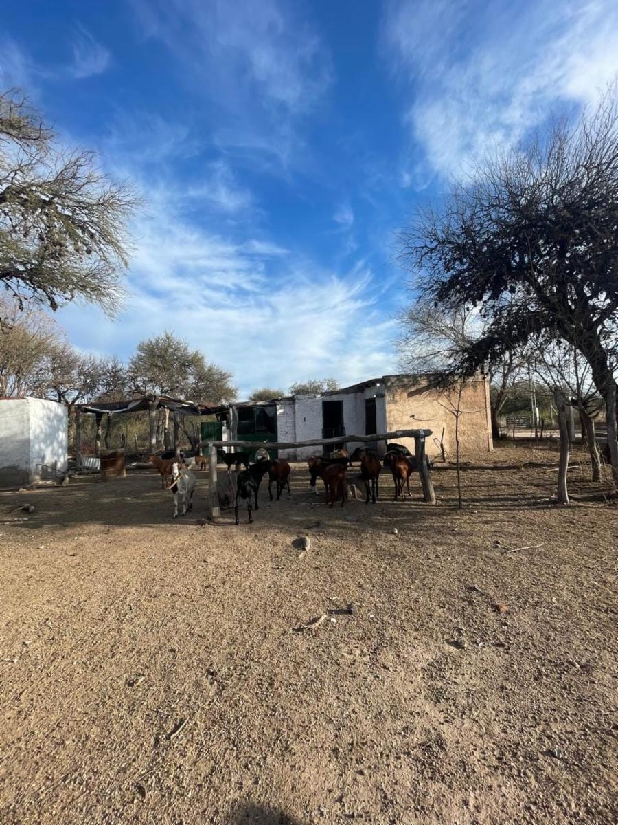 SANTA ROSA DEL CONLARA, SAN LUIS. CON BAJADA AL RIO · Junín — foto 35