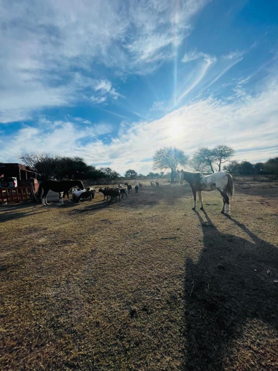 SANTA ROSA DEL CONLARA, SAN LUIS. CON BAJADA AL RIO · Junín — foto 37