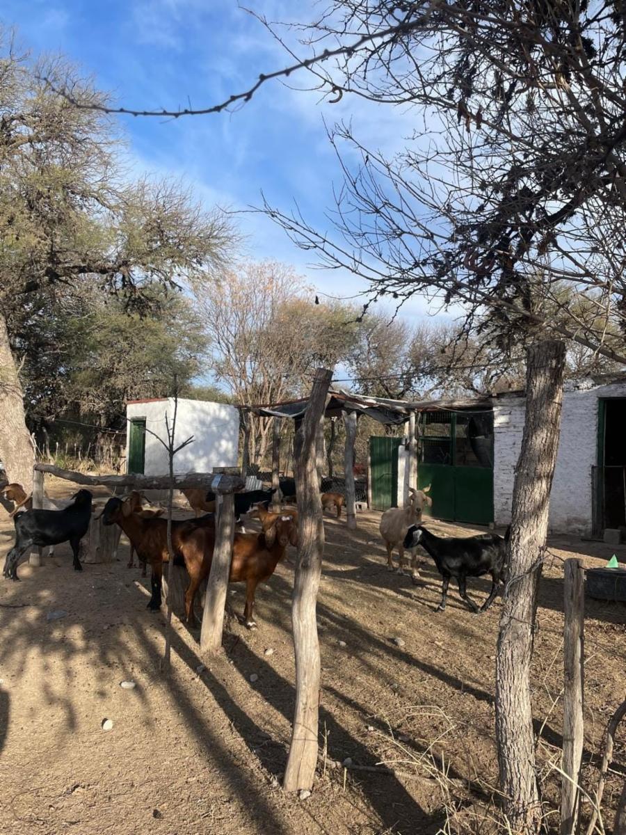 SANTA ROSA DEL CONLARA, SAN LUIS. CON BAJADA AL RIO · Junín — foto 38