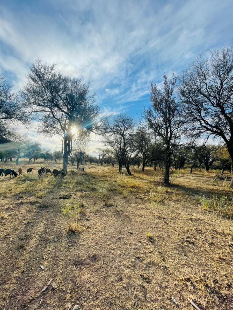 SANTA ROSA DEL CONLARA, SAN LUIS. CON BAJADA AL RIO · Junín — foto 39