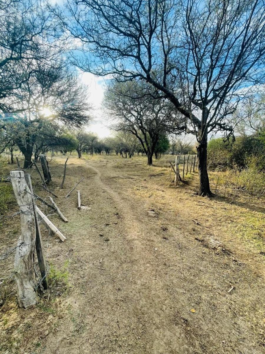 SANTA ROSA DEL CONLARA, SAN LUIS. CON BAJADA AL RIO · Junín — foto 5