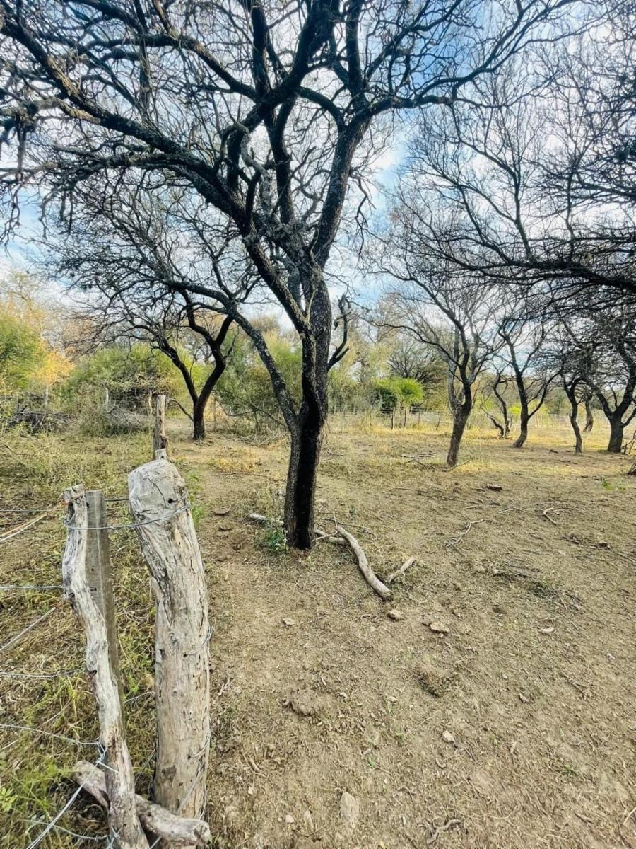 SANTA ROSA DEL CONLARA, SAN LUIS. CON BAJADA AL RIO · Junín — foto 42
