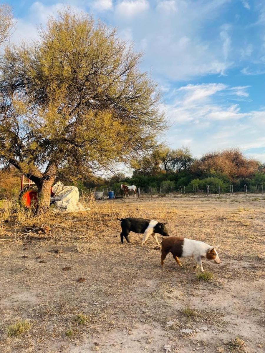 SANTA ROSA DEL CONLARA, SAN LUIS. CON BAJADA AL RIO · Junín — foto 6