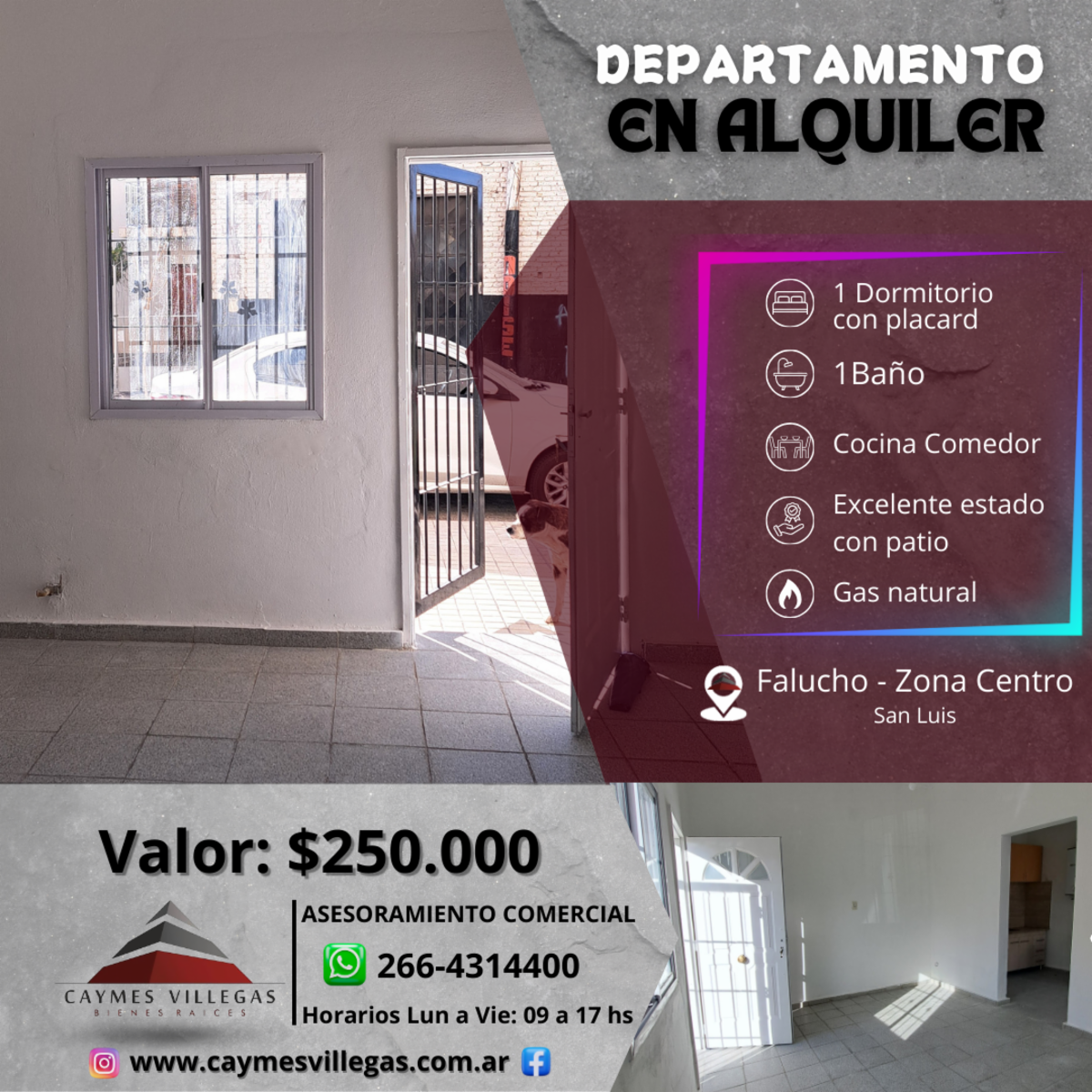 Departamento remodelado a nuevo, de 1 dormitorio en alquiler - Zona Céntrica